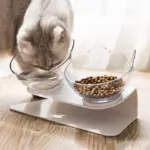 Orthopedic Anti-Vomiting Cat Feeder - Image 4