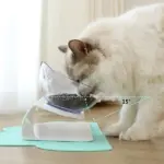 Orthopedic Anti-Vomiting Cat Feeder - Image 15