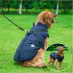 Waterproof Furry Jacket for Dogs of All Sizes - Image 11