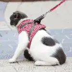 2024 New Year Hot Sale Cat Dogs Vest Harness and Leash Anti-break Away Chest Strap Cat Clothes - Image 3