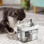 Automatic Pet Water Fountain - Image 5