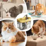 Automatic Pet Water Fountain - Image 11