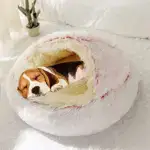 Pet Bed - Image 2