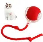 SpinKit pets ball