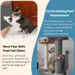 Cat scratching mat - Can protect furniture - Image 4