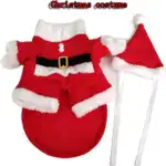 Festive Santa Claus Pet Costume Set - Image 3