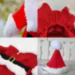 Festive Santa Claus Pet Costume Set - Image 4