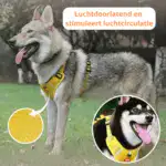 Reflective Dog Walking Rope Pet Supplies - Image 2