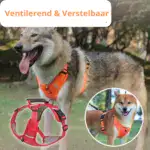 Reflective Dog Walking Rope Pet Supplies - Image 4
