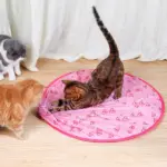 2 in 1 Realistic Interactive Cat Hunting Toy - Image 2