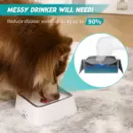 Dry Bowl Dog Drinking - Image 2