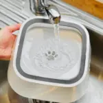 Dry Bowl Dog Drinking - Image 8