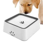Dry Bowl Dog Drinking