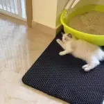 Non-Slip Cat Litter Mat - Image 3