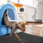 Non-Slip Cat Litter Mat - Image 9