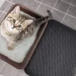 Non-Slip Cat Litter Mat - Image 10