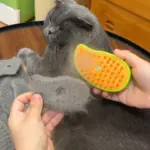 Steamy Cat Brush - Image 2